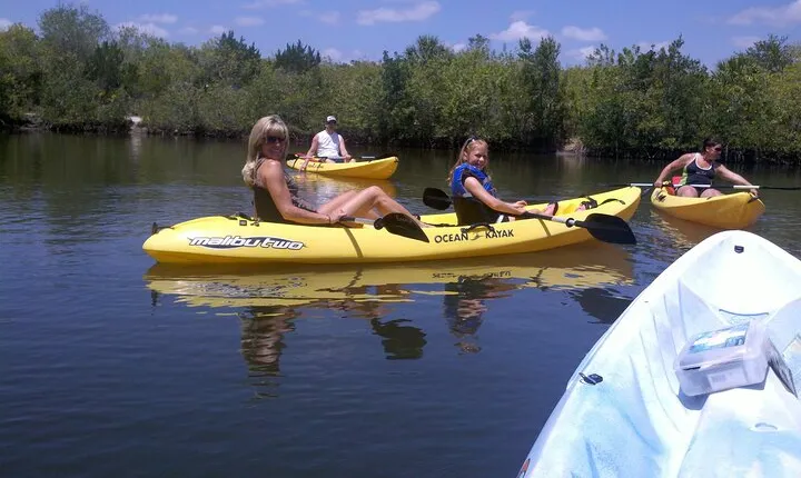 1-Hour Tandem Kayak Rental with Manatee & Dolphin sightings