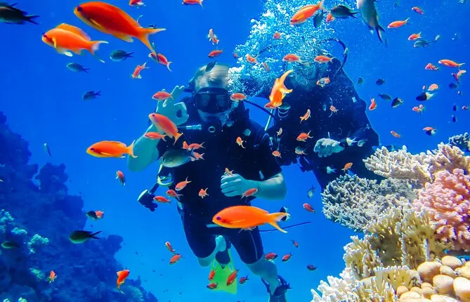 Antalya Diving Tour