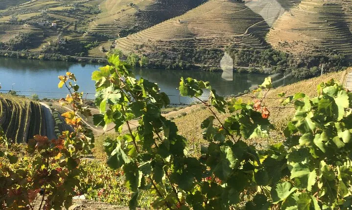 Douro Valley in off road - Private Tour