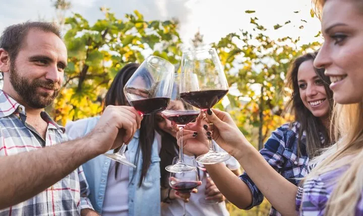  Private Full-Day Tuscan Wine Tour: 3 Wineries: Lunch & Tastingss