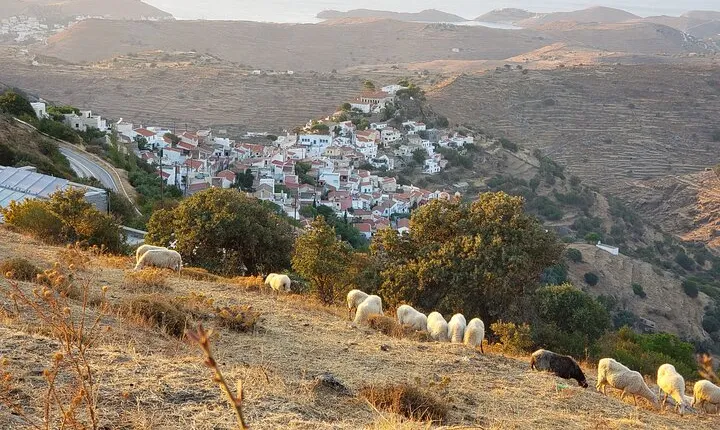 Private 2-Day Tour in Kea Island and Meet the Lion