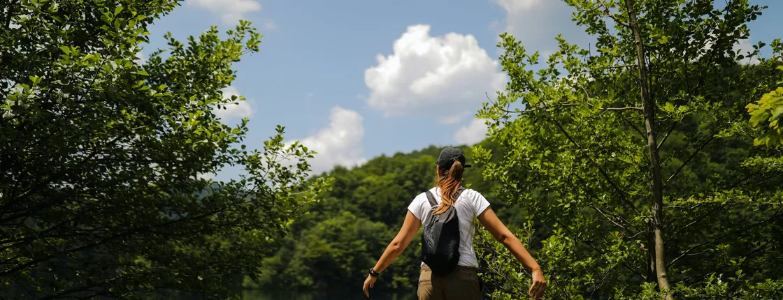 Plitvice National Park full-day guided tour from Zadar