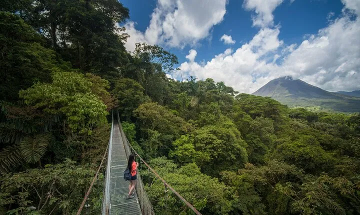 Arenal Hanging Bridges From Arenal