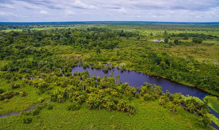 Caño Blanco Nature Sanctuary by Boat