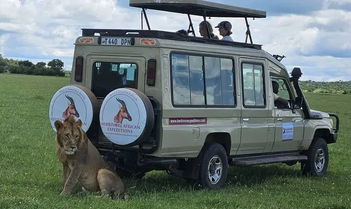 8-Days Western Serengeti Mysterious Adventures All Inclusive.