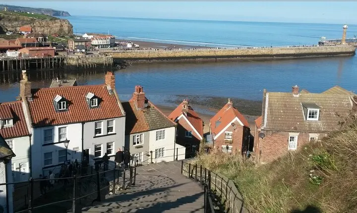 North York Moors and Whitby Day Tour from York