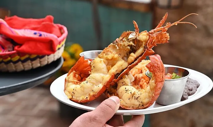 Paragliding Rosarito & Port new lobster/portals/charm