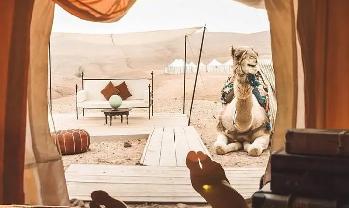 Full-Day Private Camel Ride in Agafay Desert with Lunch
