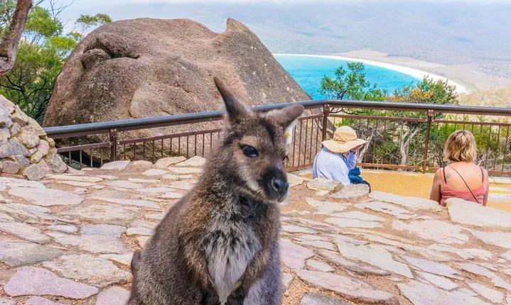 Wineglass Bay & Freycinet NP Full Day Tour from Hobart via Richmond Village