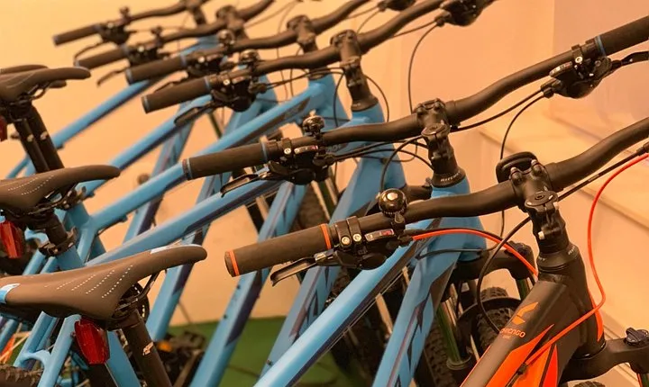 Rent a Mountain Bike in Bled