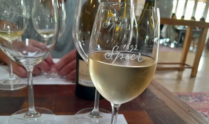 Stellenbosch, Franschhoek & Paarl 5 Wine Tasting Tour small group