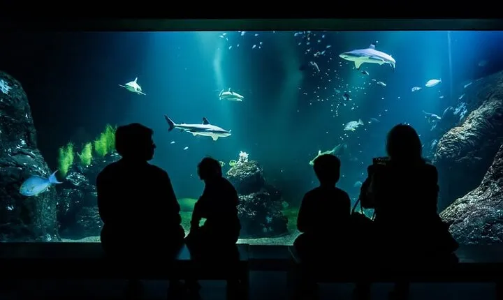 Gothenburg Universeum Ticket - Aquarium, Science, Wildlife, Zoo