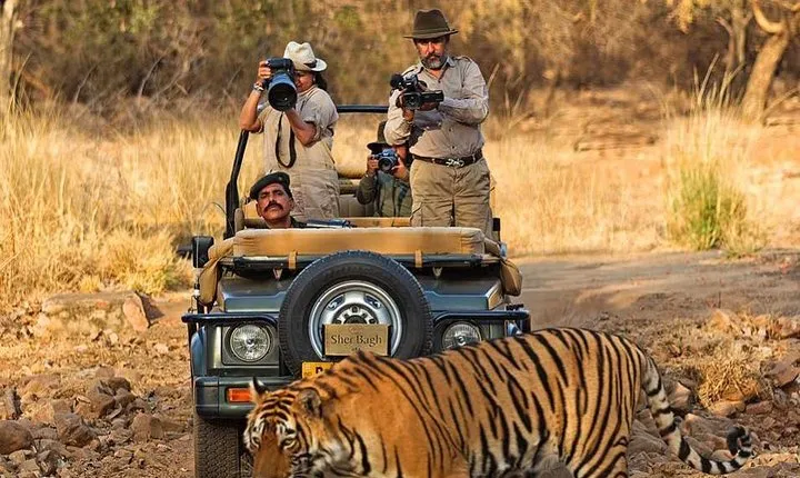 7 Days Golden Triangle Tour & Ranthambore Tiger Safari