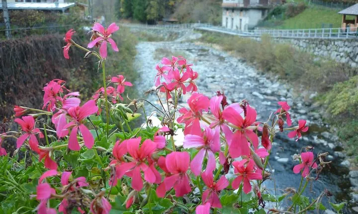 Day trip from Milan: Valtellina and wine tasting - private tour