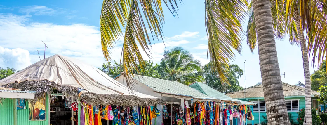 Saona Island & Private Beach Sunset Catamaran Cruise