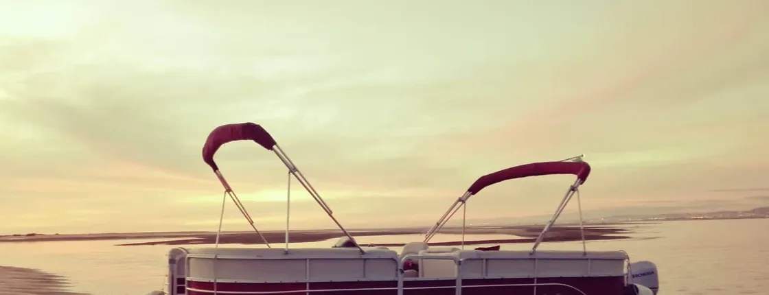 Ria Formosa and Faro Islands catamaran guided tour from Faro at sunset