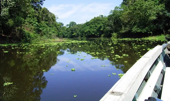 4 days 3 nights – Peruvian Tambopata Jungle