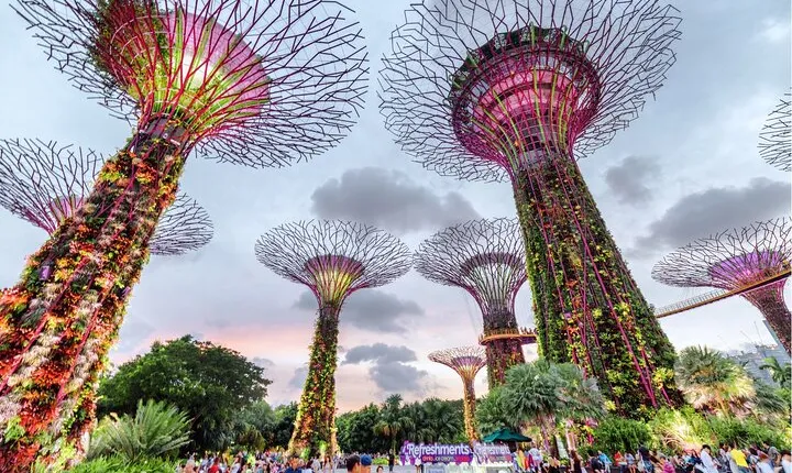Gardens by the bay Singapore ticket with all Domes & Tram Access