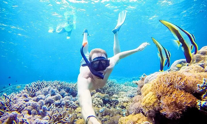 Snorkeling Nusa Penida and Island Tour Package
