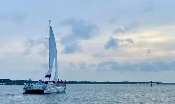 Orange Beach Dolphin Sailing Cruise aboard Catamaran