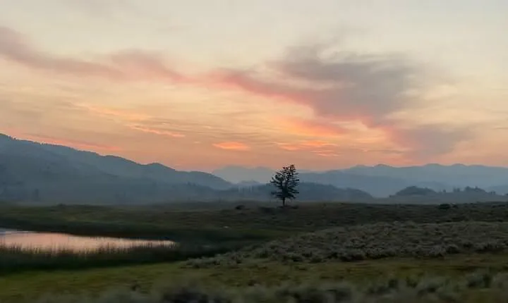 Private Evening/Sunset Wildlife Encounter Tour