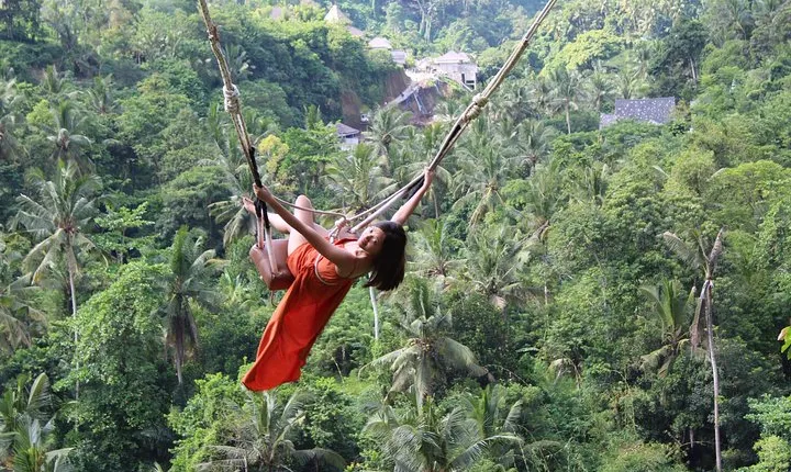 Private Full Day Tour to Ubud Highlights with Giant Swing