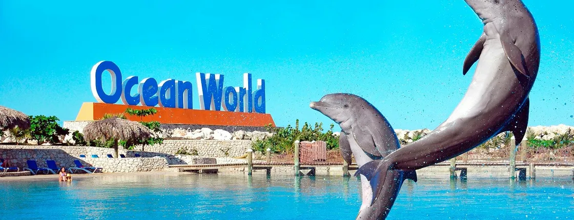 Ocean World Puerto Plata Tour