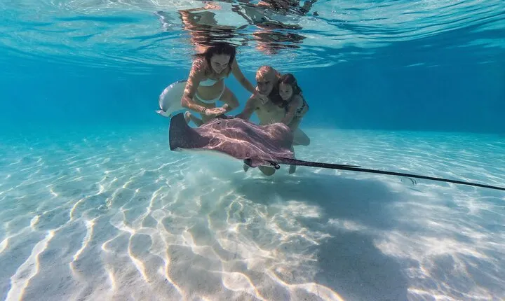 Snorkeling Tour in Moorea Aquatic Adventure Half Day