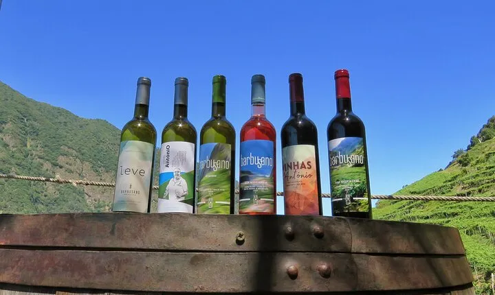 Guided 4x4 Adventure and Skywalk with Wine and Tapas in Madeira