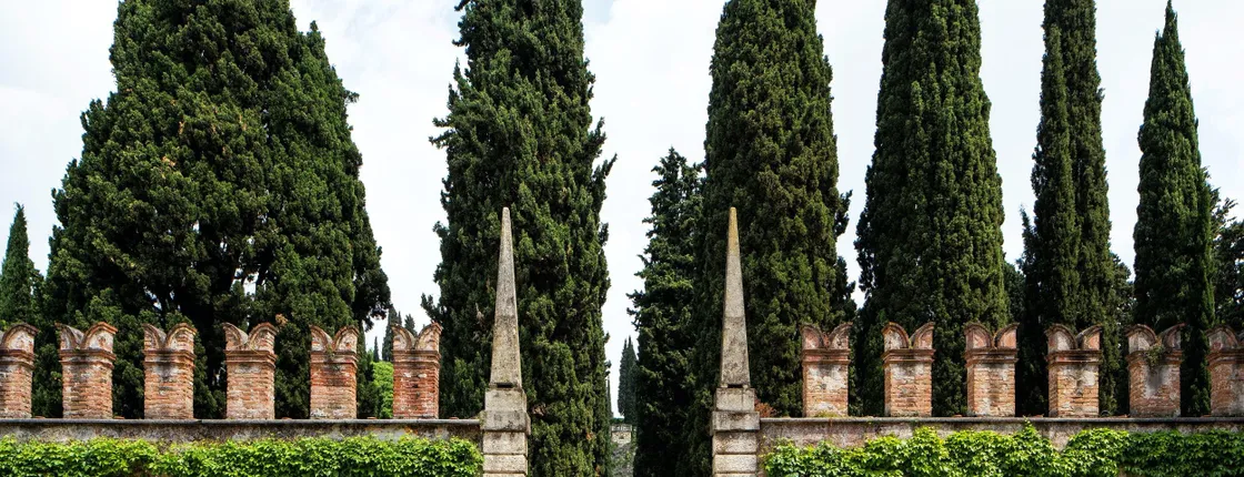 Entrance tickets to Giusti Garden