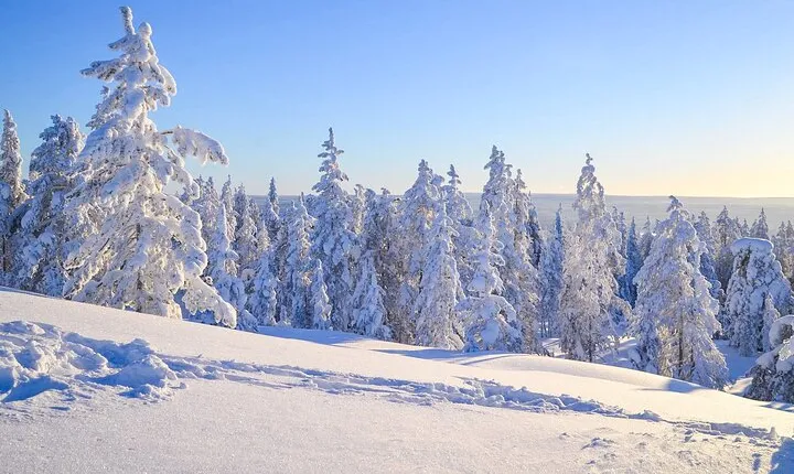 Wilderness Survival Tour - Winter