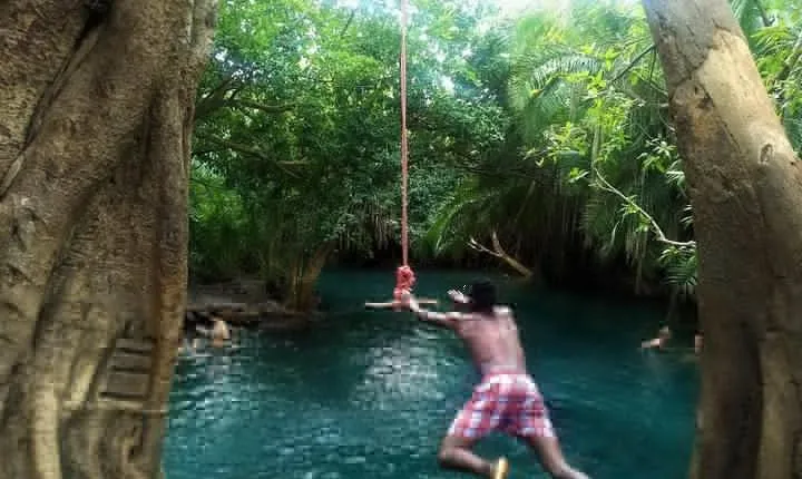 Kikuletwa Chemka Hot Spring Day Tour from Arusha