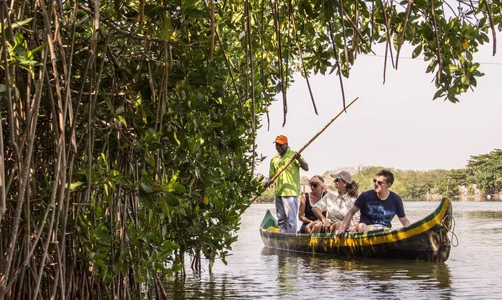 Explore La Boquilla’s Mangrove Tunnels with Local Fishermen