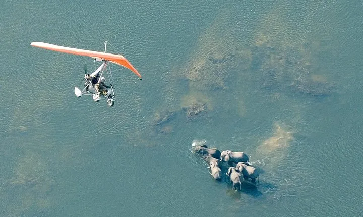 Private Microlight Flight above the Falls