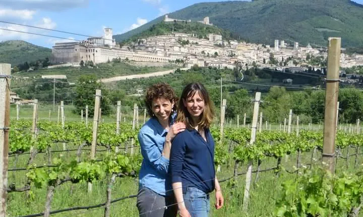 Wine tasting and walk in the Vineyard of Assisi