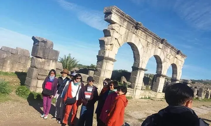 Volubilis and Meknes Day Tour from Fez (private tour)