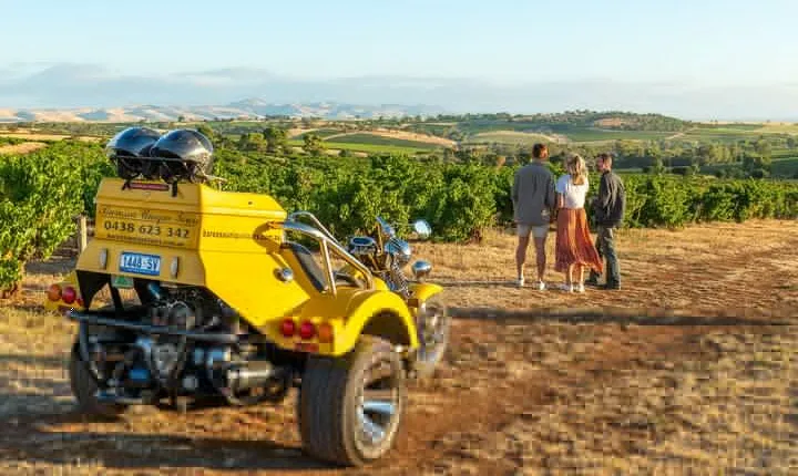 Unique Trike Barossa Valley Half Day Private Tour For 2