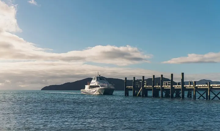 3.5 Hour Marlborough Sounds Delivery Cruise