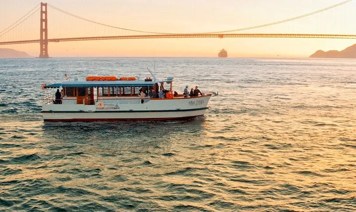90-Minute Sunset Tour Aboard Wine Therapy