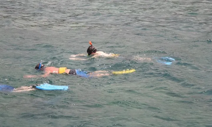 Montego Bay Shore Excursion: Private Snorkel Tour