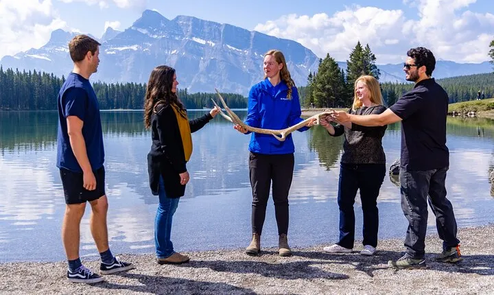 Year Round Tour: Banff and its Wildlife
