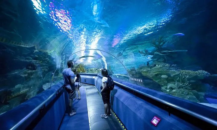 Pattaya Underwater World Entrance Ticket