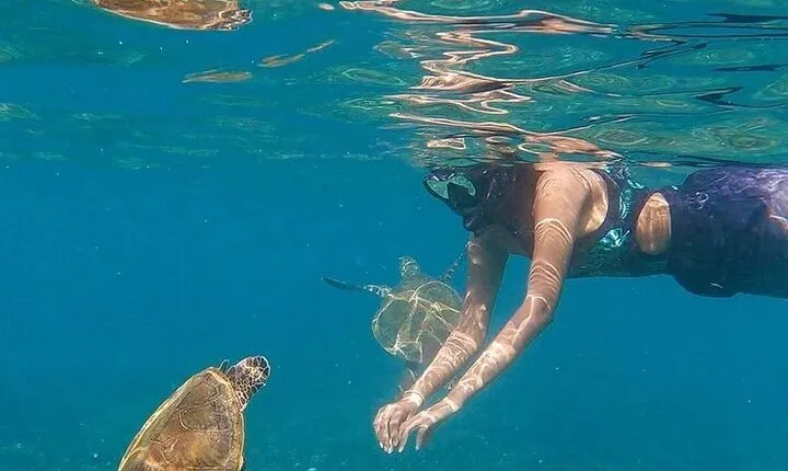 Daymaniyat Islands Snorkeling Half-Day Tour
