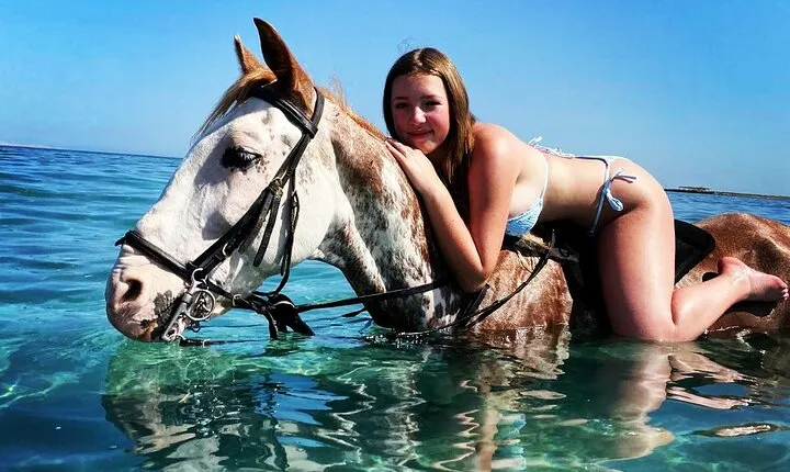 3 Hours Swimming By Horse in Red Sea Riding on the Beach and Dessert - Hurghada