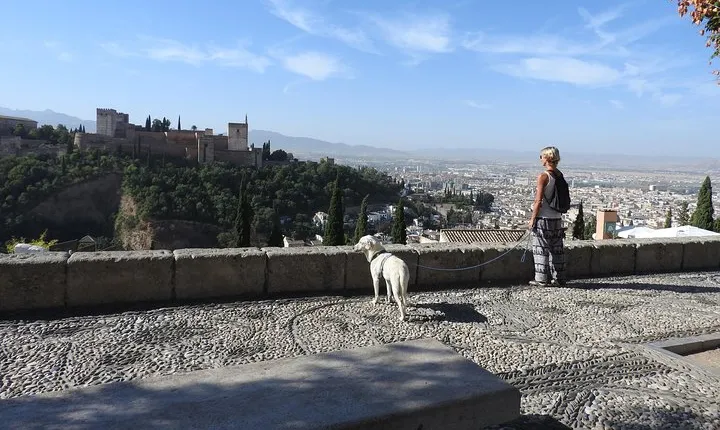 Albaicin guided tour with dogs