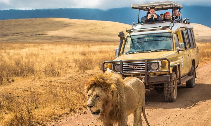 4 Days Tanzania Safari - Tarangire, Serengeti, Ngorongoro Crater