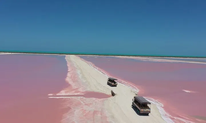 Tour in Las Coloradas from Mérida All Inclusive