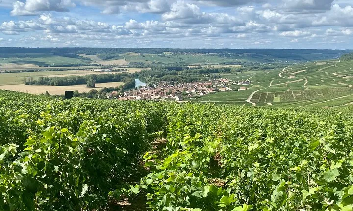 Champagne Mercier, Le Gallais, Pressoria Small-group from Paris