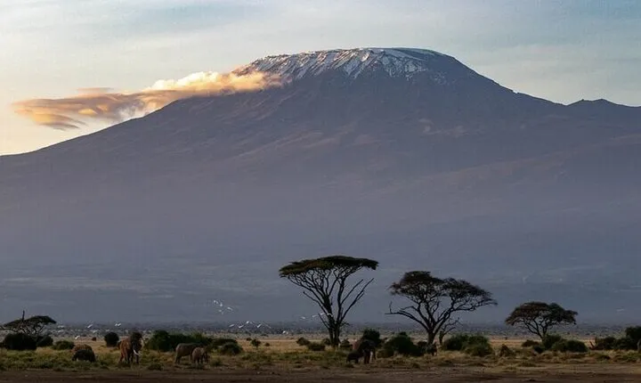 6 Days Private Tour of Masai Mara Lake Nakuru and Amboseli Safari