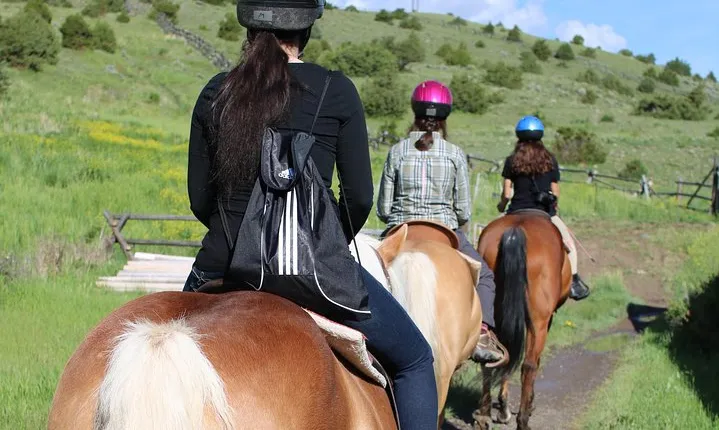Blue Flower Trail Ride